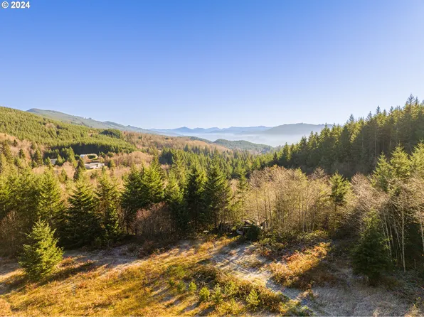 0 N Dubois Rd, Ariel, WA 98603