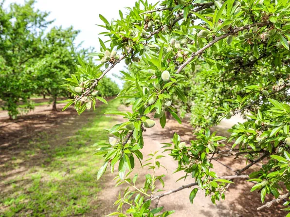 0 Road 29, Madera, CA 93637