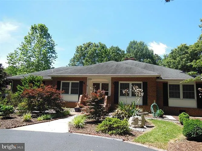 4230 Shelton Dr photo 1