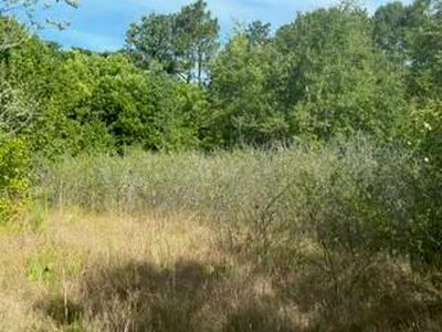 0 Edgefield Hwy TRACT A, Trenton, SC, 29847