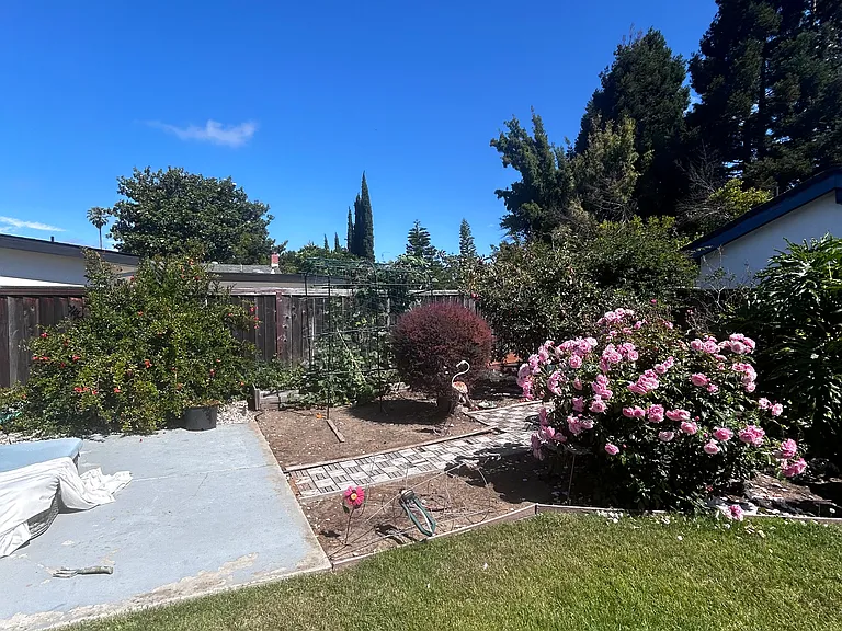 37762 Mosswood Dr — Photo 3