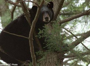 121 Monterey Rd, Everett, PA 15537