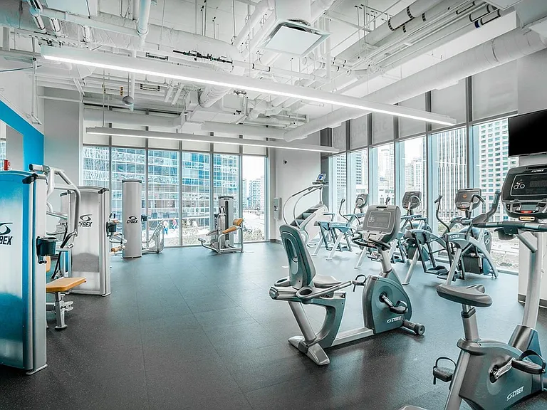 State-of-the-art cardio equipment