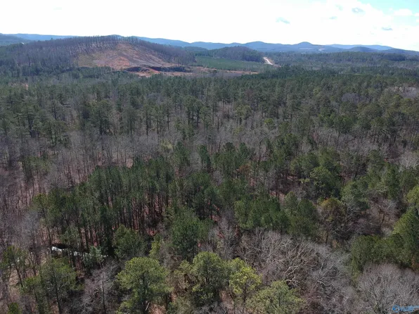 1 Anniston Beach Rd, Anniston, AL 36206