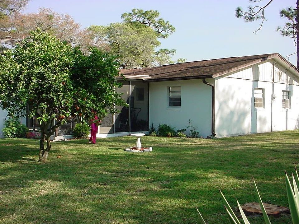 Back View