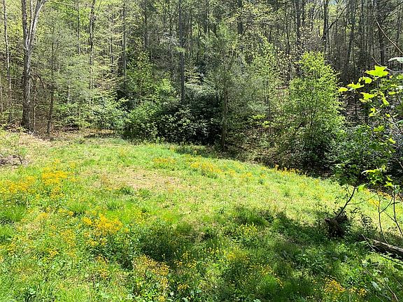2nd image of 10936 State Highway 197