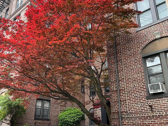 3rd image of 200 Hart Blvd APT 3H
