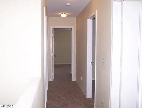 6045 Aripeka St — Photo 11