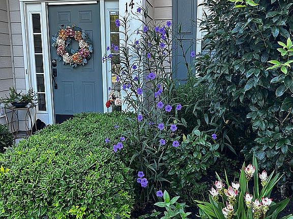 3rd image of 14 S Point Ct