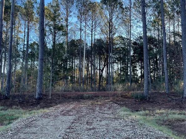 11362 Annie Creek Dr, Willis, TX 77378