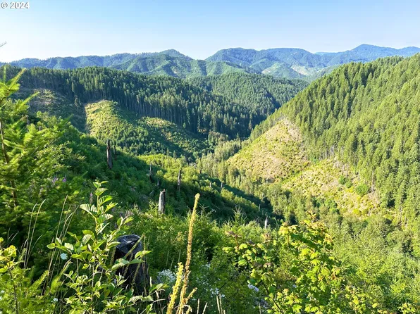 Stagecoach Rd, Deadwood, OR 97430