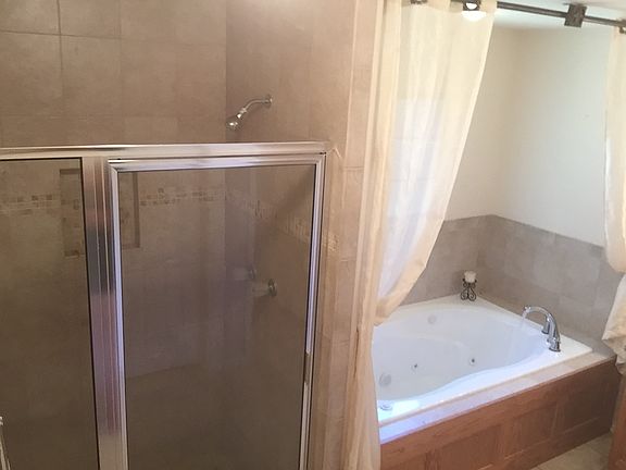 Master Jacuzzi/Shower 