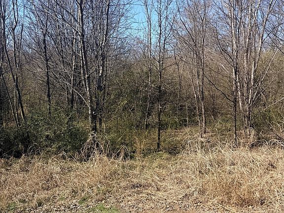 2nd image of 337 South Ct
