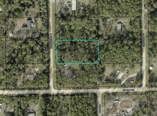 1935 Candleberry St LOT 17, Bunnell, FL 32110