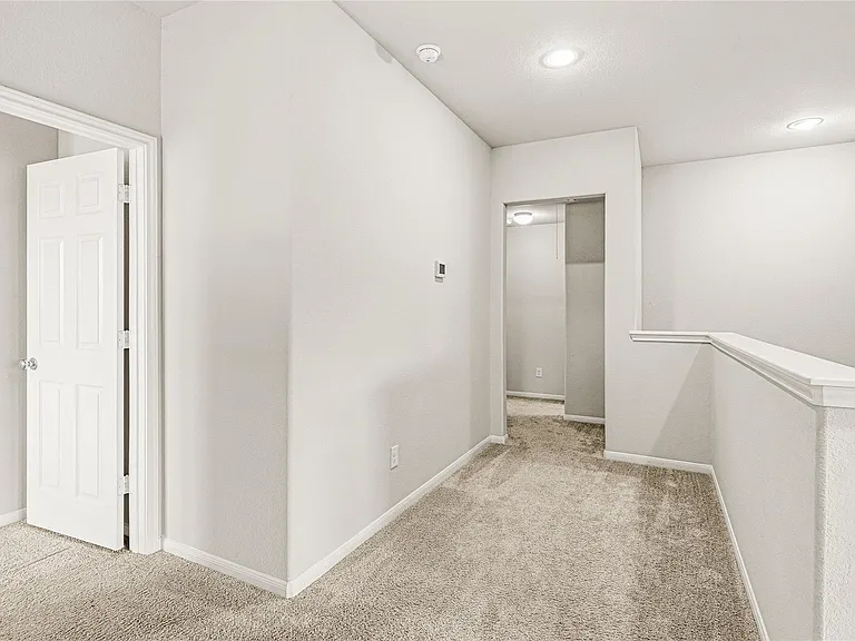 14510 Tundra Swan Dr — Photo 32