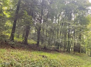 140 Chickasaw Dr, Ivey, GA 31031