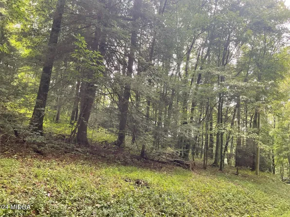 140 Chickasaw Dr, Ivey, GA 31031