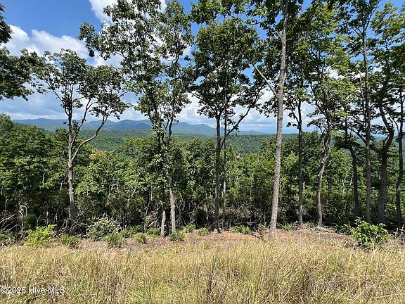 4th image of 182183 182 & Skyline View Drive Lot 182/183 #183