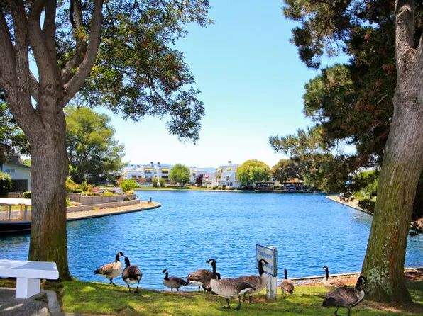 889 Balboa Ln, Foster City, CA 94404