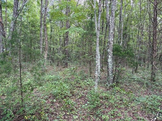 2nd image of 1936 Goforth Rd Lot 6