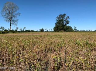 Tbd Hendrix Lane, Windsor, NC 27983