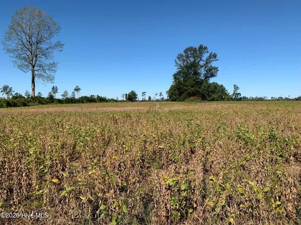 Tbd Hendrix Lane, Windsor, NC 27983