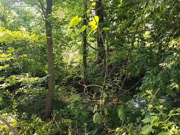 4th image of 124 Berwick Dr