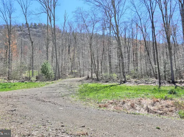 0 Lucky Hunter Ln, Milroy, PA 17063