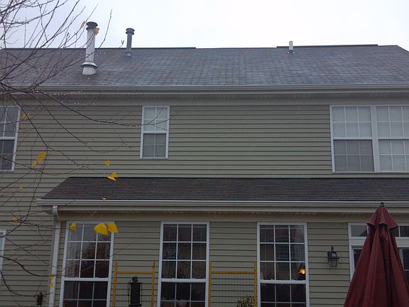 Rear of Home