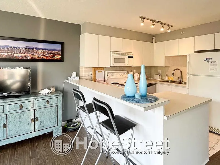 1633 W 8th Ave #304 — Photo 9
