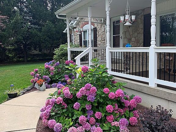 Front of house with flowers 
