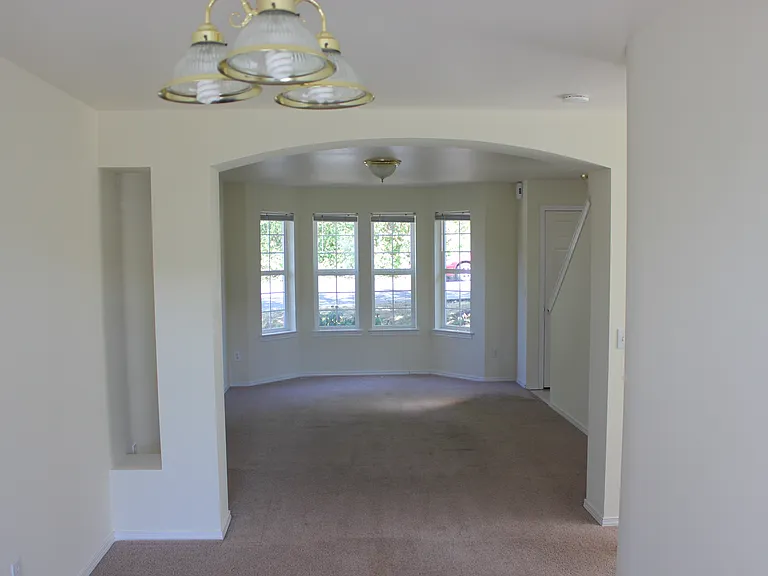 803 Blueberry Ln — Photo 9