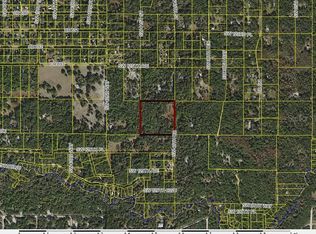 00 SW 40th Dr, Webster, FL 33597