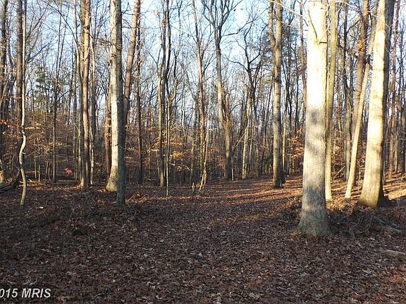 3rd image of 11511 Forest Walk Dr