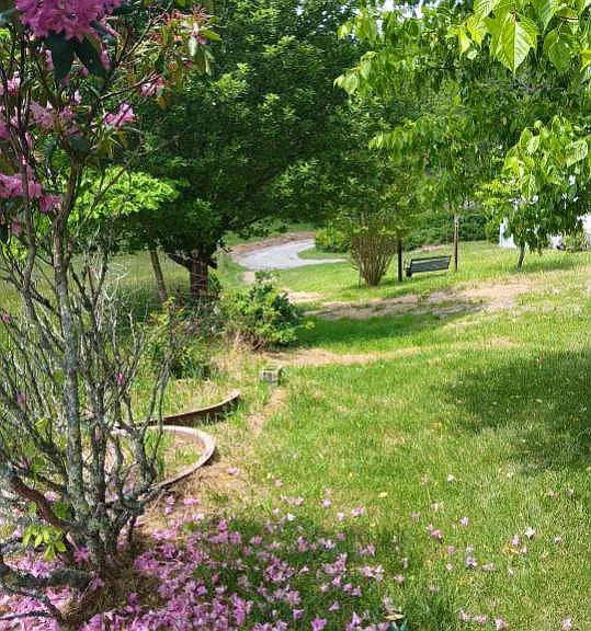 256 Barretts Dr — Photo 27