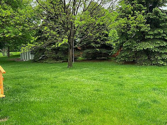 Back yard