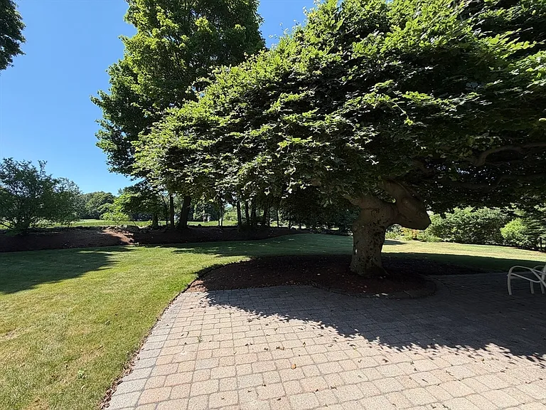 37 Stephen Pl — Photo 39