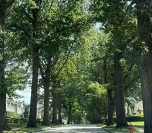 Exterior Neighborhood (street photo)