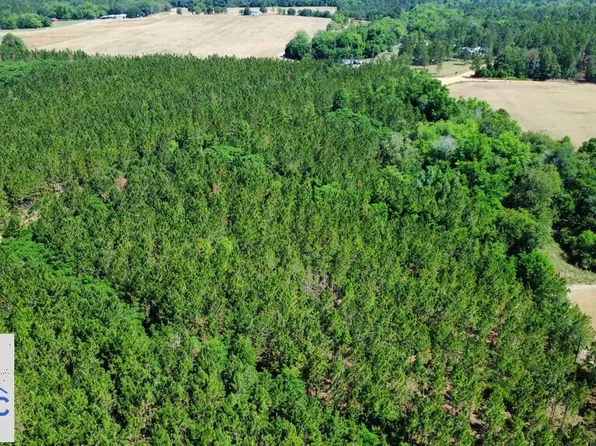 TRACT 8 Sunflower Rd, Fitzgerald, GA 31750
