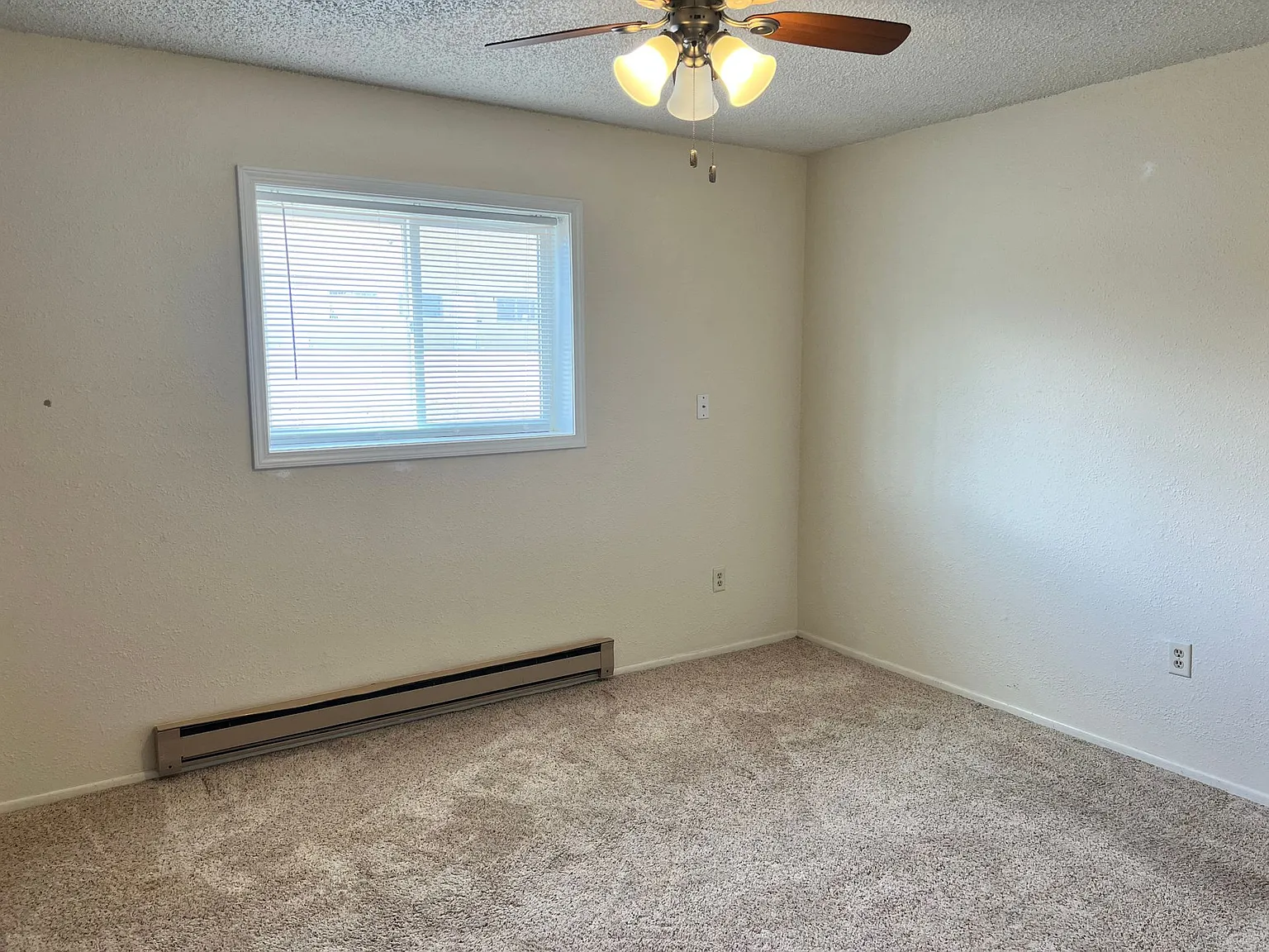Quaint 2 Bedroom located in Mills, Wy — Photo 4