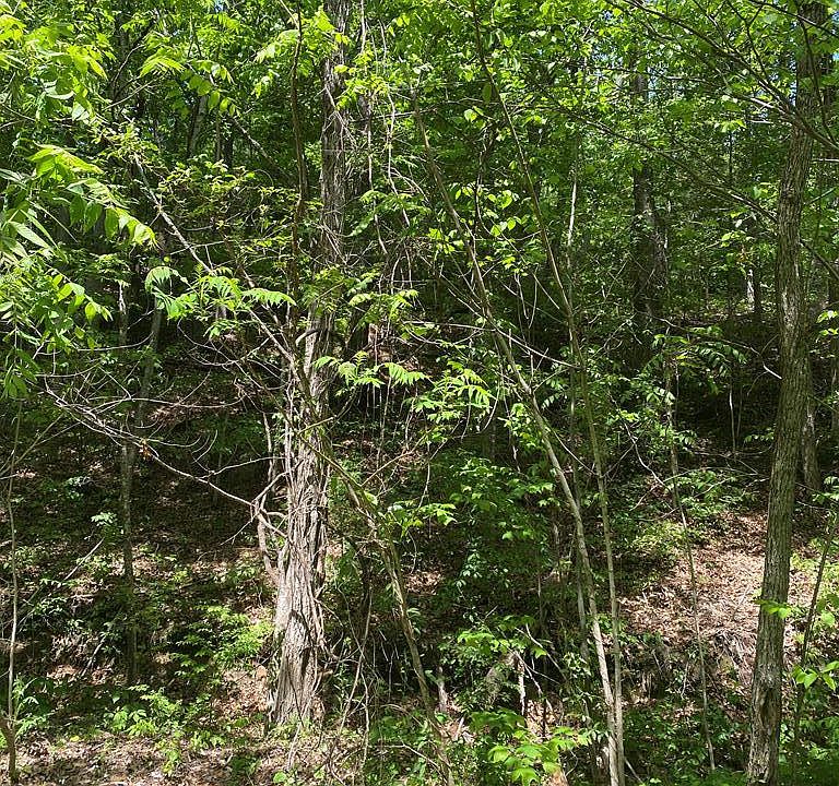2nd image of LOT 49 Lin Creek Rd