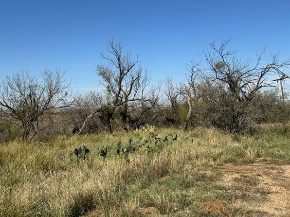 4699 Fm 2319, Loraine, TX 79532