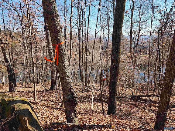 5th image of 900 County Road 839