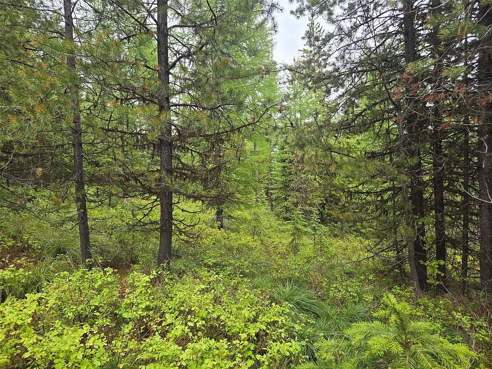 2nd image of TRACT 18 Nine Mile Rd