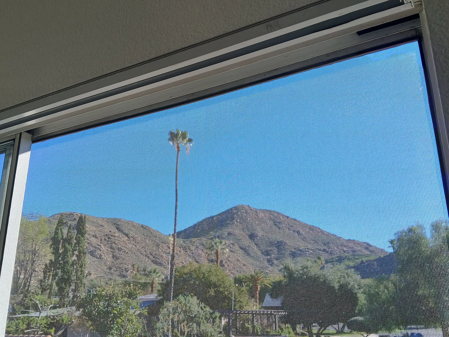 2 bed, $1,100 — Photo 2