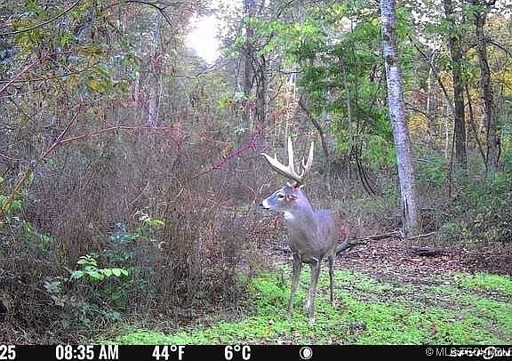 2nd image of 21501 S 705th Rd