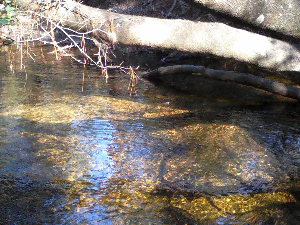 Clear beautiful creek