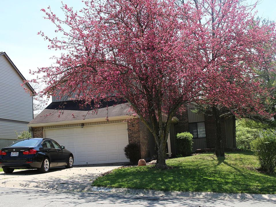 Beautiful mature trees