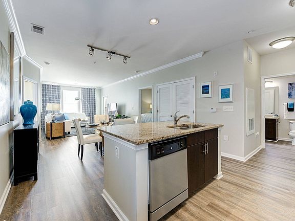 Apartment Kitchen and Living