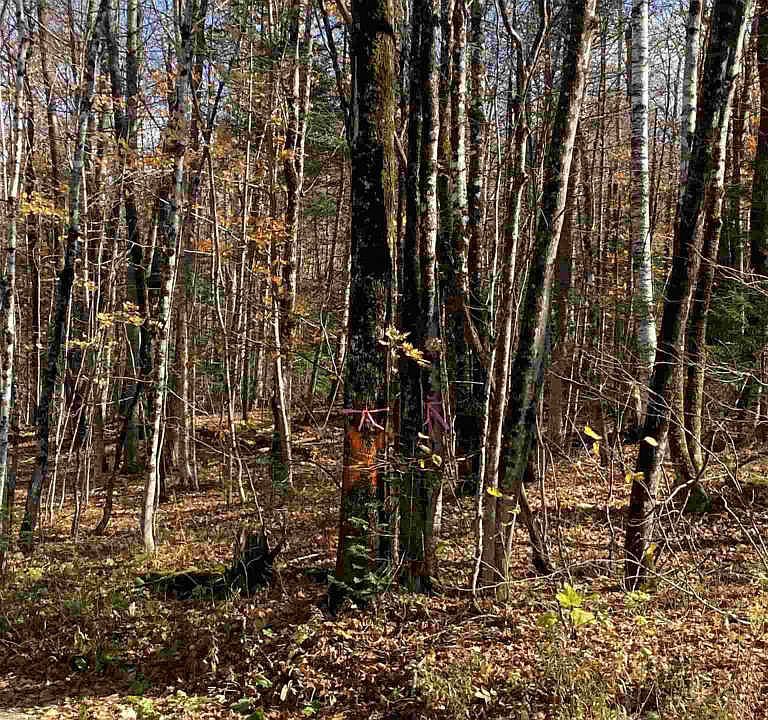 2nd image of 1350 Backway Rd